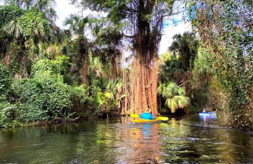 Opulence & Serenity at Our Luxury Home in Jupiter! - Photo 47