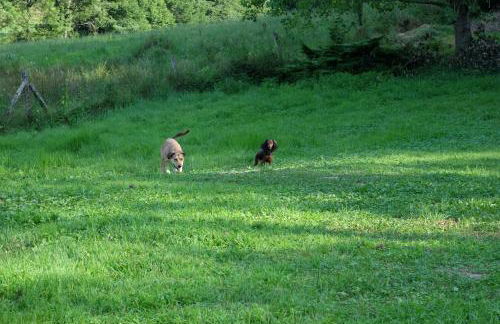 Maison avec vue, grand terrain clos, bain nordique privé toute l'année, animaux acceptés - Foto 10