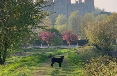 Beautiful 18th century cottage in Arundel - Foto 38