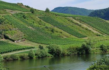 Gästehaus Herda - Foto 31