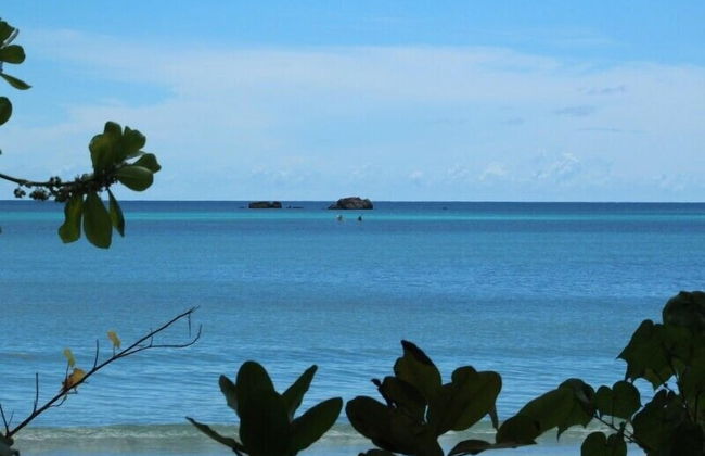 Heliconia Grove - Foto 28