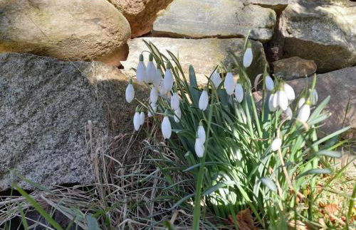 The Granary - Foto 47