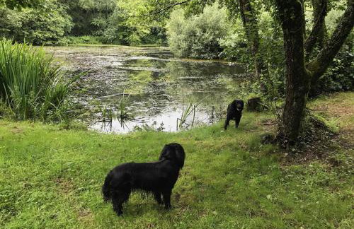 Quiet, Countryside Retreat, Spreacombe Gardens near Woolacombe - Foto 12