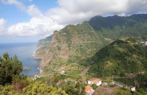 Lazy Lizard Studio - Foto 58