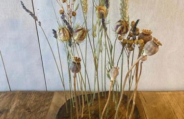 Unique luxurious cabin on sea view working croft - Photo 12