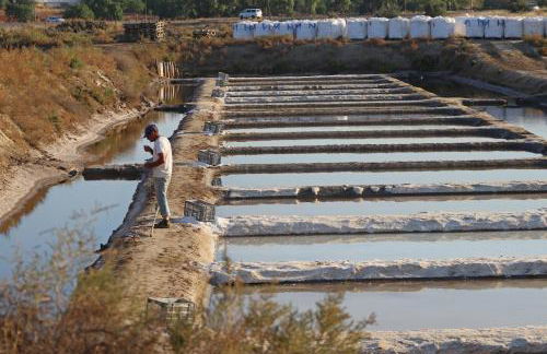 Villa Audiência 49 - Photo 29