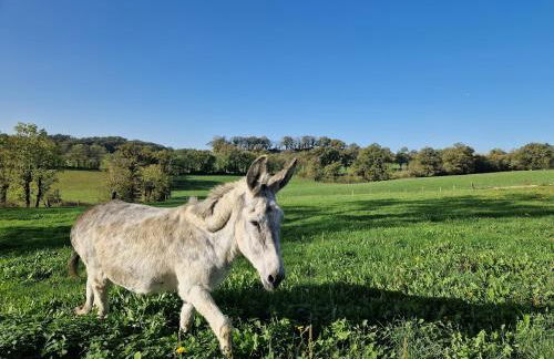 Gite de Maroquies - Photo 43