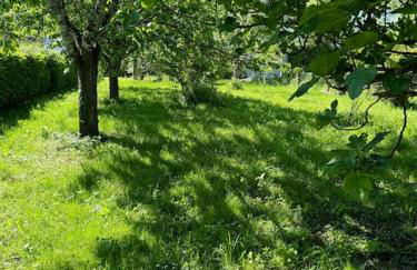 Dreams of Alaric - Photo 40