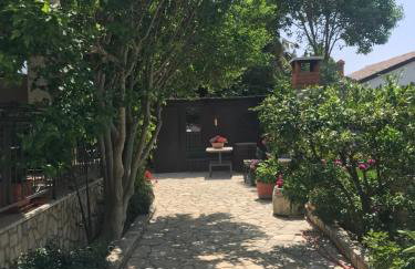 App Sorgo - Photo 44