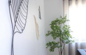 D WAN 4 | Baleal - Foto 7