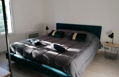 Le Caudalie au cœur des vignobles Pessac Léognan - Foto 18