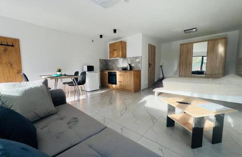 Domki i Apartamenty Wypoczynkowe z jacuzzi Lidzbark - Foto 48