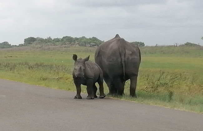 St Lucia Wilds - Foto 60