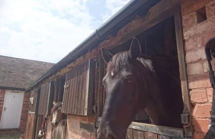 Church Farm Accommodation - Foto 33