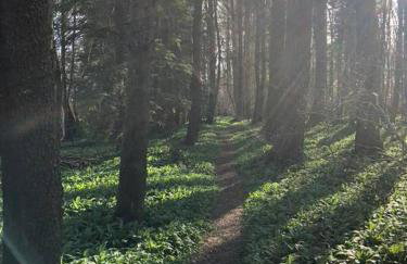 3 BR Luxury Apt at Highland Club - Fort Augustus - Foto 8