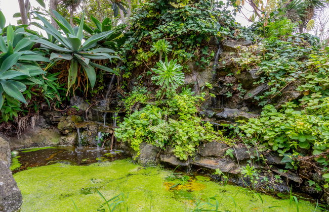 Villa Torrita - Photo 35