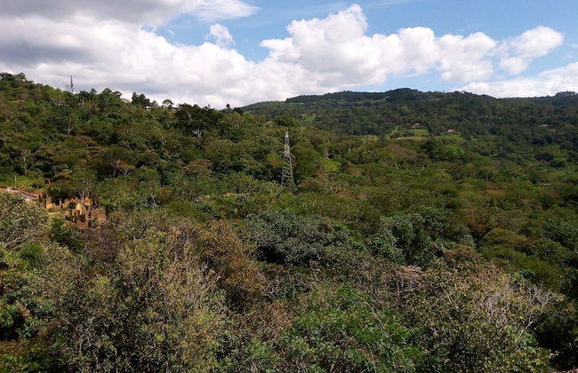 Hospedaje Campestre Villa Niny - Foto 22