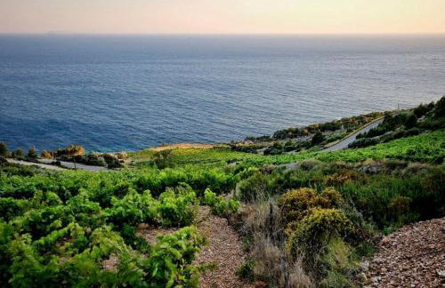 Holiday Getaway Caric - Foto 17