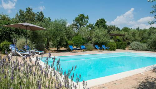 Villa El Olivar by Great Stays - Foto 5, sunbed, Garden view