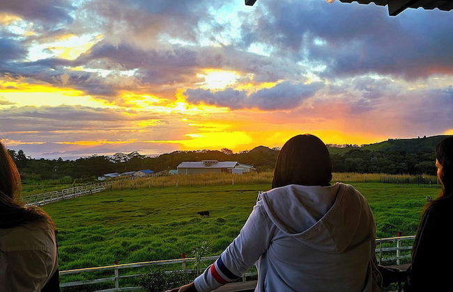 Almore Hotel - Foto 51