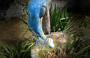 Casa in Baia Formosa-Bùzios - Foto 12