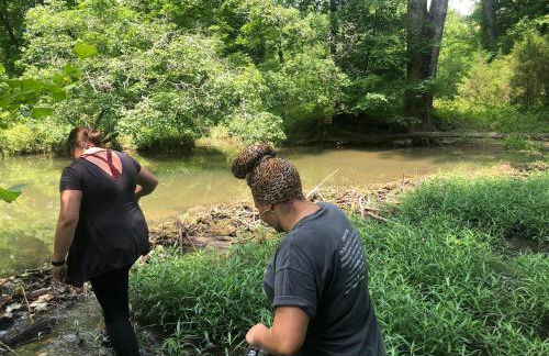 Beautiful Secluded Log Cabin - Foto 43