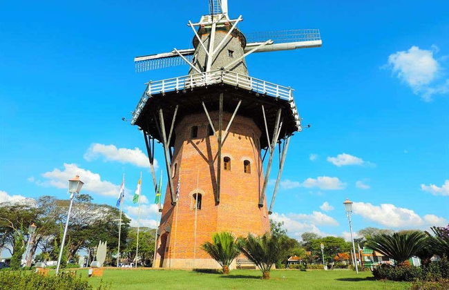 Escursione a Holambra - Foto 3