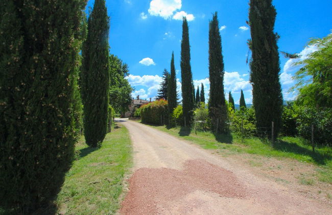 Elysian Escape - A Paradise - Photo 46