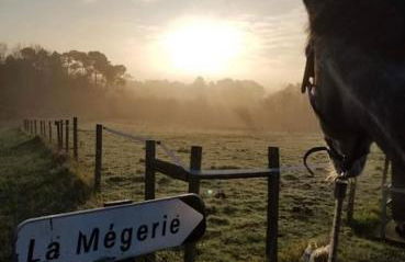 Location maison Mirambeau - 17150 - Foto 1