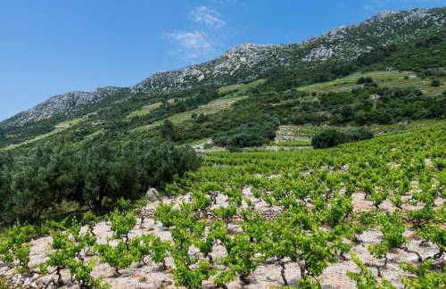 Apartments Villa Dingač - Foto 37