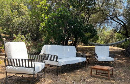 Les Stoechades - Foto 8