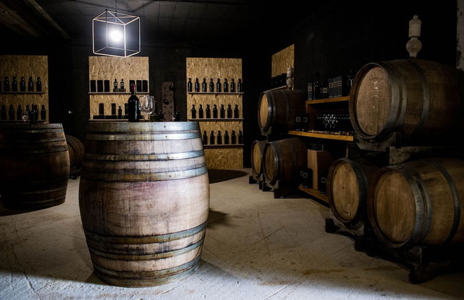 Fattoria Sant'Andrea - Photo 35