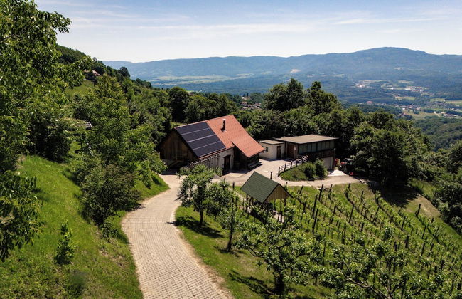 Vineyard cottage Škatlar 3 - Foto 31