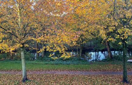Kleines Grachtenhaus - Simmerdeis an der Gracht - Foto 7