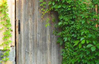 pod mazurskim niebem loft - Foto 62