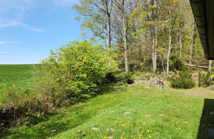 Ruhige Oase in traumhafter Lage - Foto 20