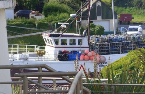 Molene 200 m plage et port - Foto 30