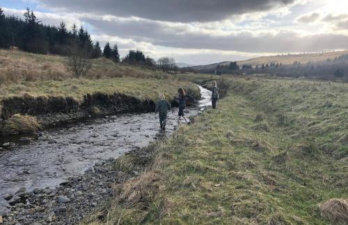 Corlae Cottage, mountain and forest views - Foto 5