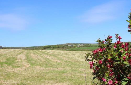 Carne Vue - Photo 21