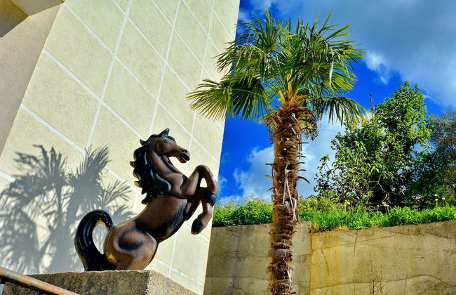 Apartments Soso - Foto 72