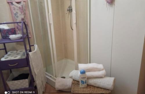 Le rose e i violini - Photo 14