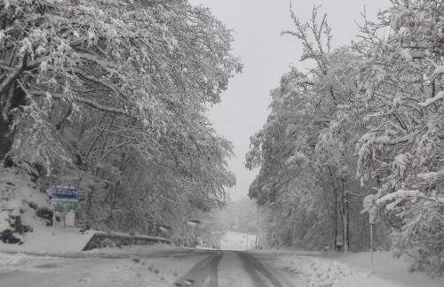 Ristoro la Verna, appartamenti in affitto - Foto 70
