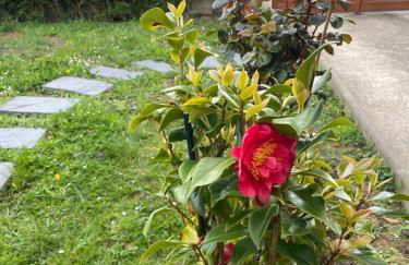 Appartement dans une maison cosy - Foto 15