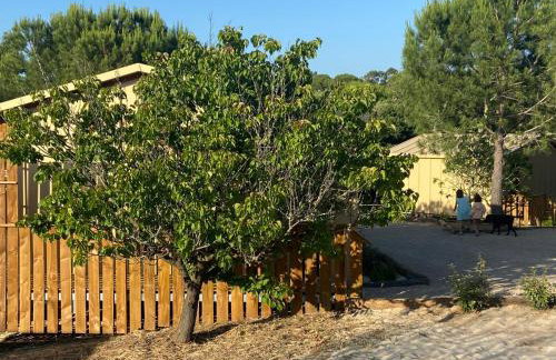 Cabanas de Melides - Foto 3