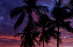 Cabanas Caraúbas - frente para o mar, ar & Tv - Foto 48