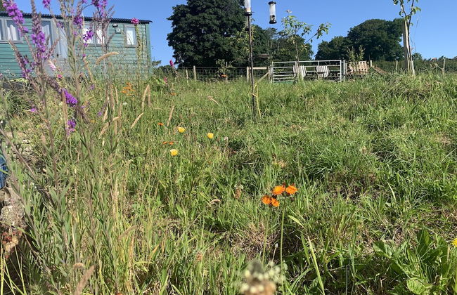 Shepherds Hut With Hot Tub, North Wales, Anglesey - Photo 22