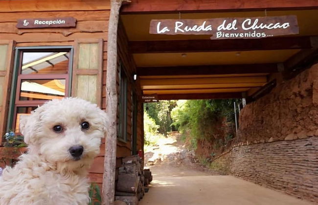 La Rueda del Chucao - Foto 3