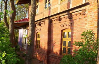 Windmühle an der Nordsee in der Nähe Büsum - Photo 12