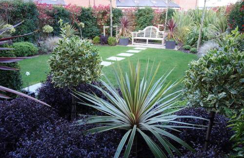 Violet Place - Foto 20