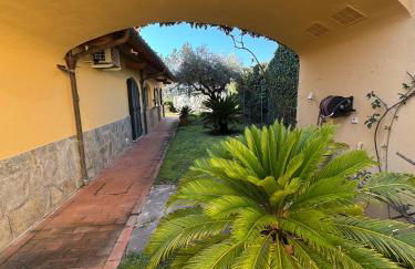 La Limonaia di Vanna - Foto 25